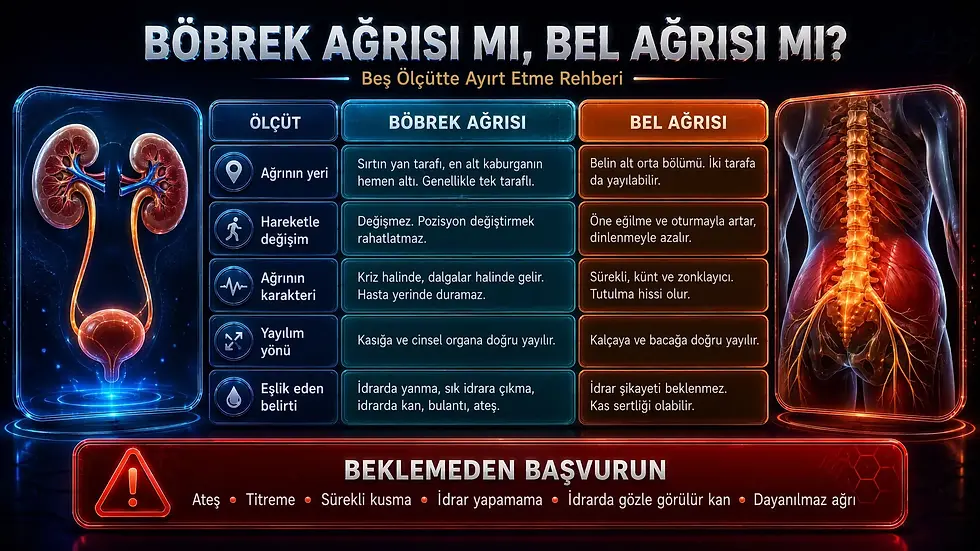 Böbrek Ağrısı mı Bel Ağrısı mı? Nasıl Ayırt Edilir?