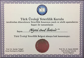 Türk Üroloji Yeterlilik Kurulu