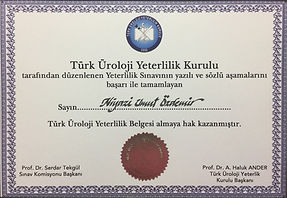 Türk Üroloji Yeterlilik Kurulu