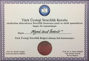 Türk üroloji Yeterlilik Kurulu Sertifikası