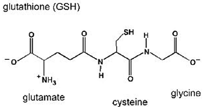 structure-of-glutathione.png
