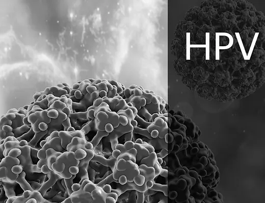Hpv Virusu Asisi Ve Genital Sigil Tani Tedavi Merkezi Antalya
