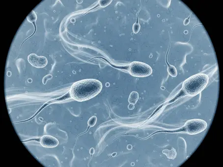 Sperm Sayısı Nasıl Artar? Hareketliliği Güçlendiren Doğal Yöntemler