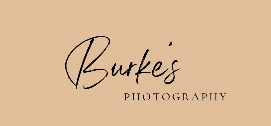 logo2.png