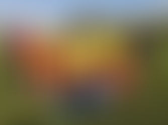 Női U-19: DVTK - Szent Mihály 3-3