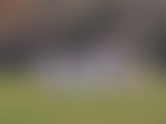 Videón a pécsi vereség