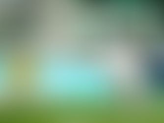 Videón a Honvéd elleni csörte