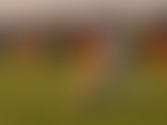 Rabi Ramóna élete legfontosabb gólját szerezte