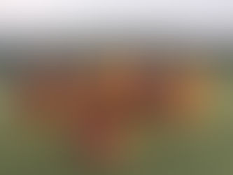 Munkába állt megye II-es férficsapatunk is