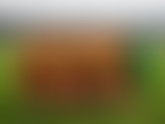 Labdarúgás: hasznos edzőmeccs a Topolya ellen