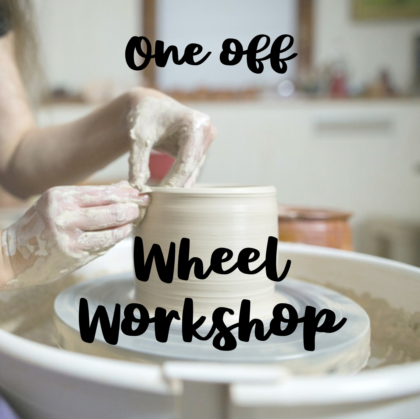 February 22nd 2pm-5pm Wheel Throwing Workshop (South Hooe Studio PL20 7BW)