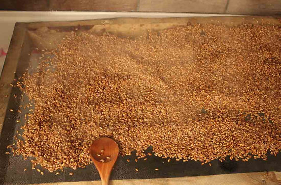 grain-spawn-drying_orig.jpg