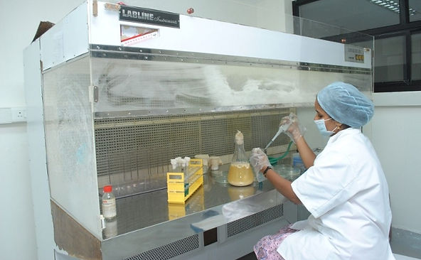 Laminar-Air-Flow-Chamber.jpg