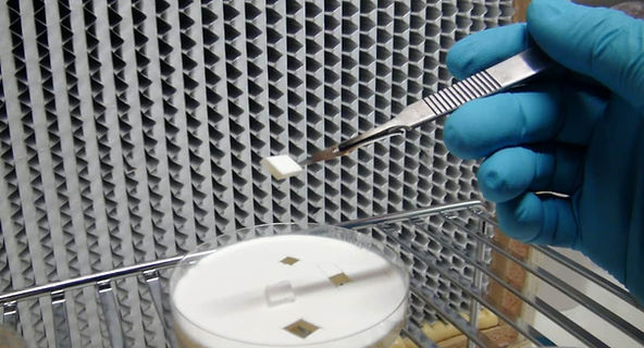 lab_large.jpg