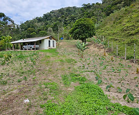 Fazenda Trajano De Moraes