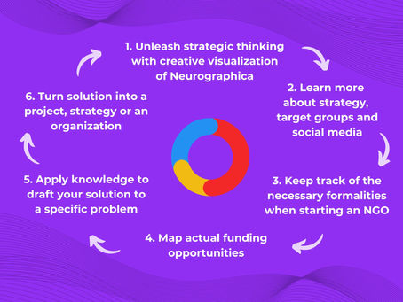 Project conclusion and new tool: NoPAI – Startup / LevelUp Cycle Guidelines