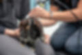 20211002 PAWTC 009 Web Sized.jpg