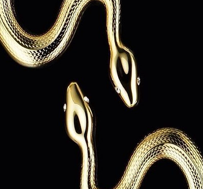 color_black&gold (1).jpeg