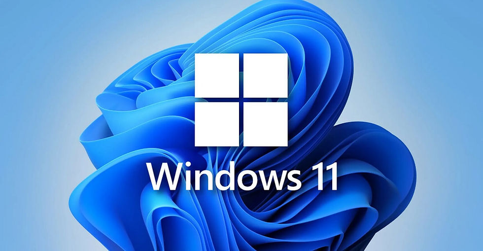 Organize your Files on Windows 11