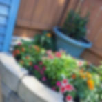 Lawn Enhancement