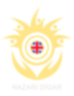 logo sun_edited.jpg