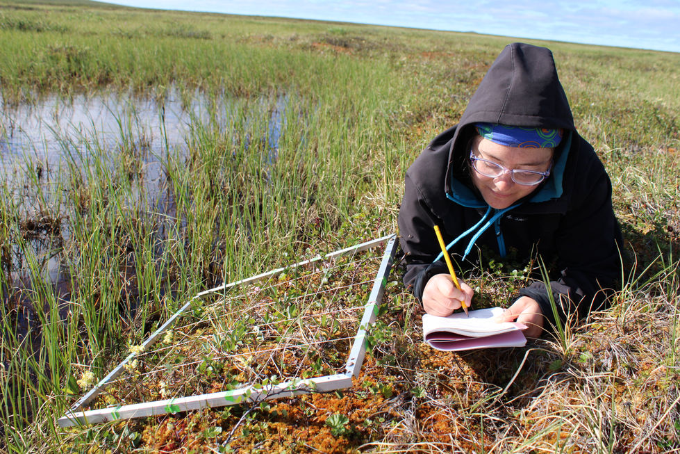 Vegetation assessment
