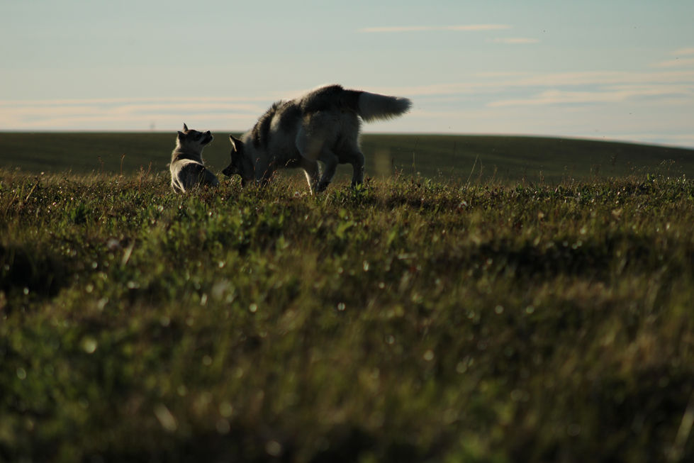 The keepers