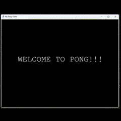 pong.gif