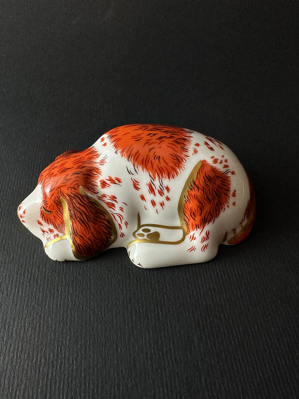 Miniatura: Perro Puppy Royal Derby