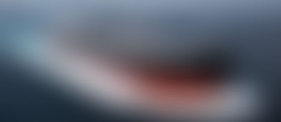 MV. Royal Orion 竣工