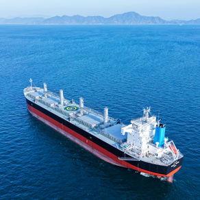MV. Royal Topaz 竣工