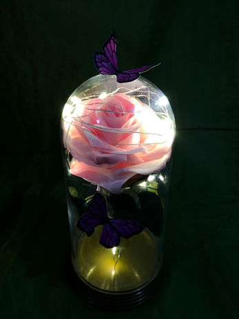 Rosa na Cúpula