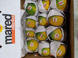 Papaya
