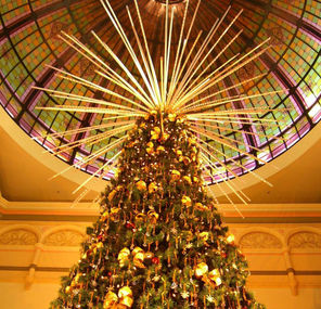 Commandez votre sapin avec APACH!