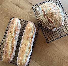 写真 2025-08-30 10 39 57.jpg