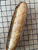 写真 2024-11-14 14 03 15 (21).jpg