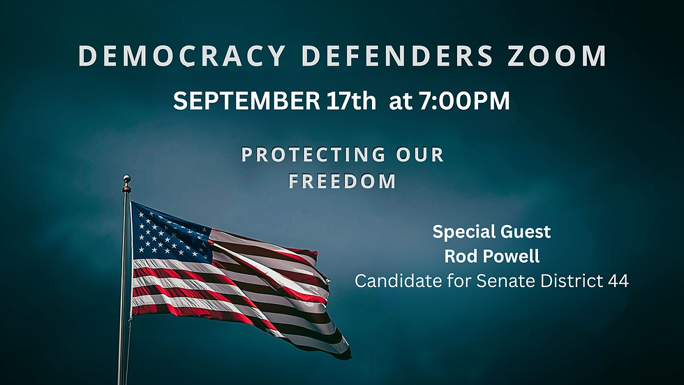 I-LCNC Presents our Democracy Defender Series