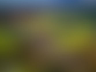 The Arches of Crimple Valley