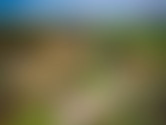 Mitford Castle – Quiet Ruins Above the Wansbeck