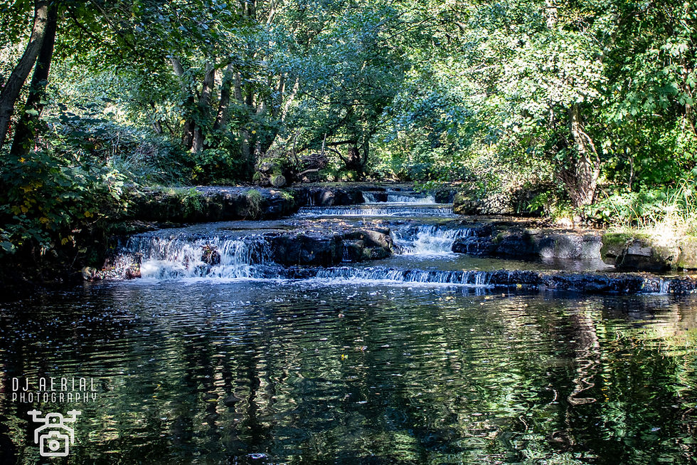 Demesne Mill Little Waterfall