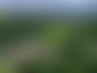 Blanchland Abbey – The Heart of a Village Built From Its Stones