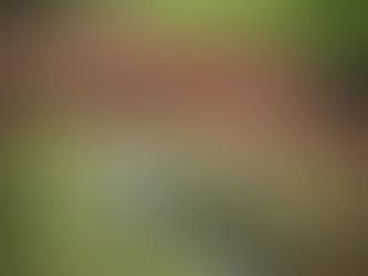 Rothley Castle – A Northumberland Folly with a Medieval Disguise