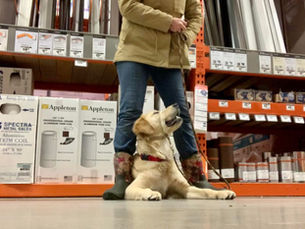 When the Weather Outside is Frightful...