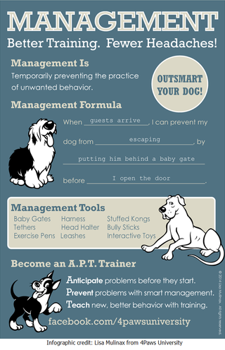 baby gate puppy training