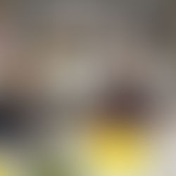 Envision Ellettsville at the June Chamber Luncheon