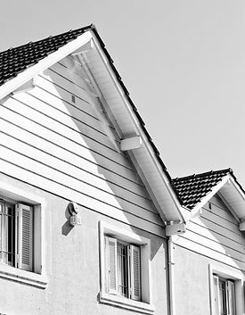 House%20Windows%20%26%20Roofs_edited.jpg