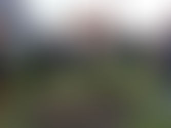 LC Lier Twee Neten schenkt Anne Frankboom