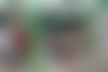 LC Minerva: schoolpakketten