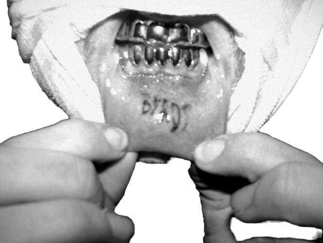 a man showing his underlip tattoo