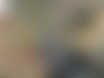 Rose Hips from the Ancestors